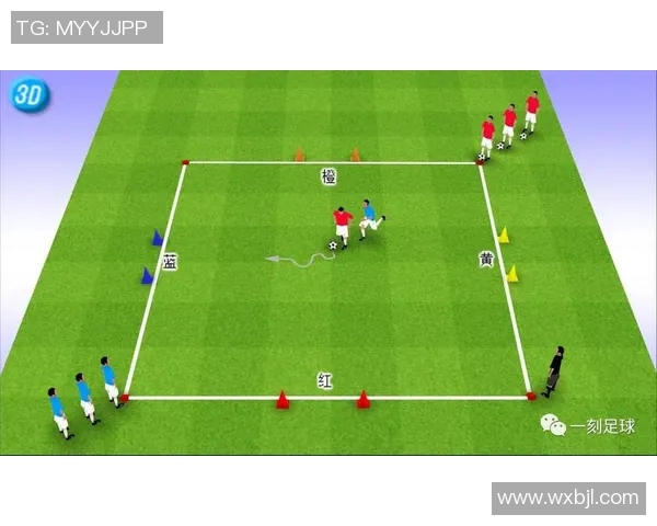 十一区足球队明星球员阵容解析与成长历程详解